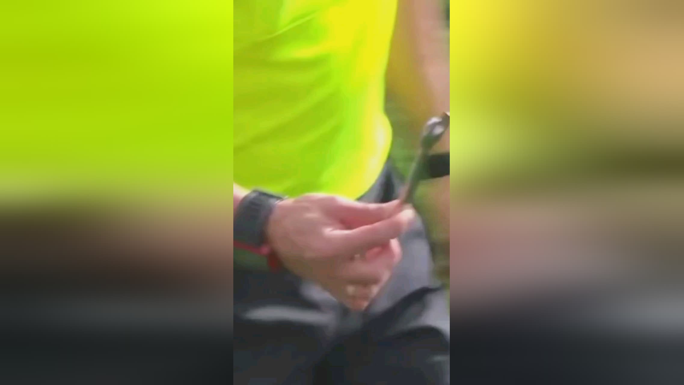 积分榜上